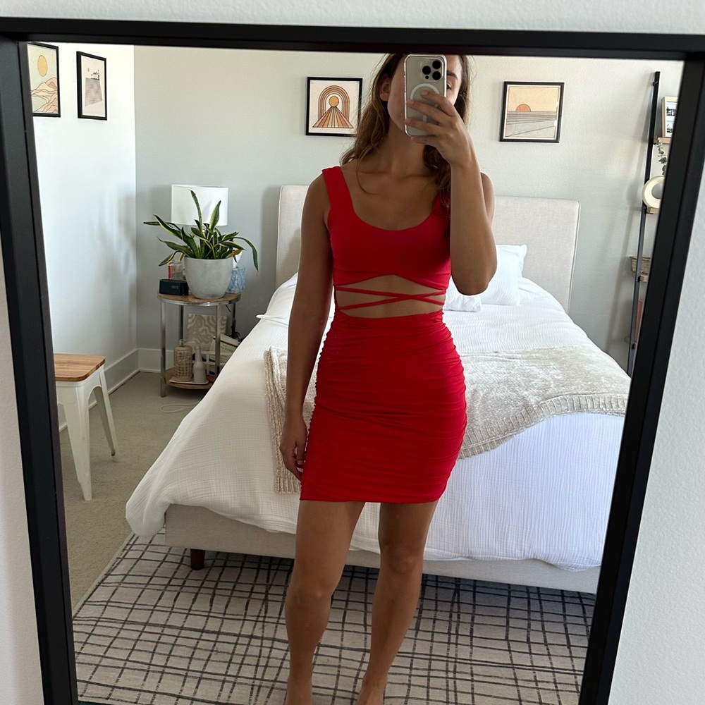 Tiger Mist Cora dress - never worn new with tags!!